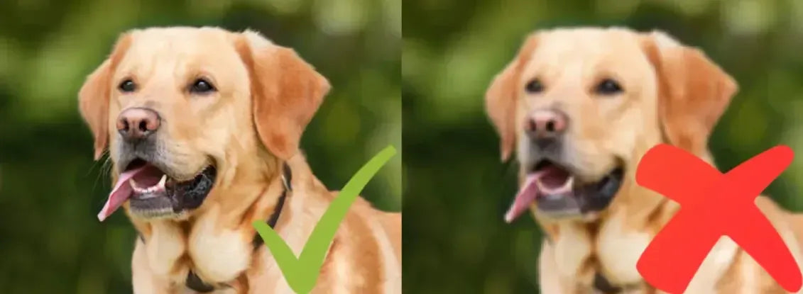 Custom diamond painting from your own photo – choosing image and size