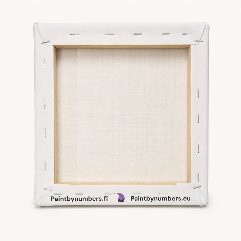 20x20 cm paint by numbers canvas pre-stretched on a wooden frame – back view
