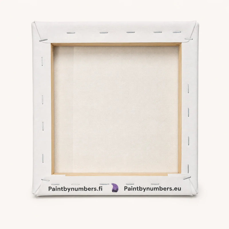 20x20 cm paint by numbers canvas pre-stretched on a wooden frame – back view