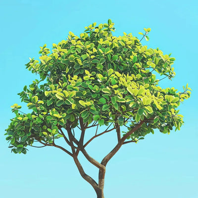 Tree 40x40cm diamond painting