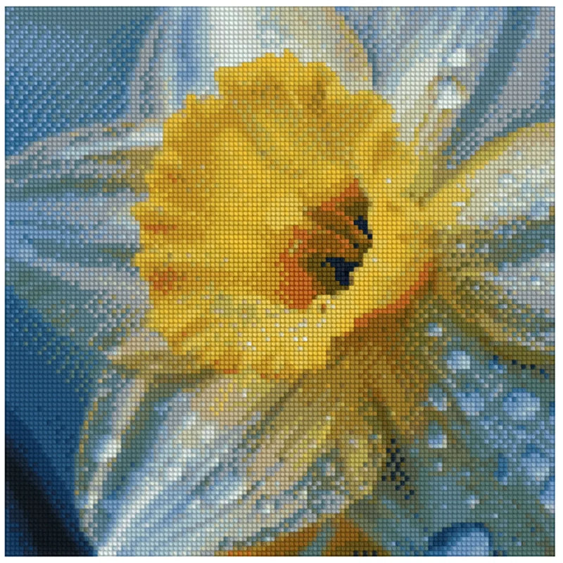 Diamond painting template image – a detailed close-up of a flower, bright yellow petals, and water droplets on a bluish background.
