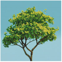 Thumbnail for Diamond painting pattern image – green and yellow foliage, slender trunk, and a clear, bright sky in the background.