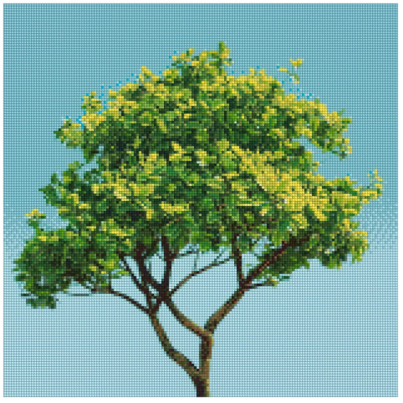Diamond painting pattern image – green and yellow foliage, slender trunk, and a clear, bright sky in the background.