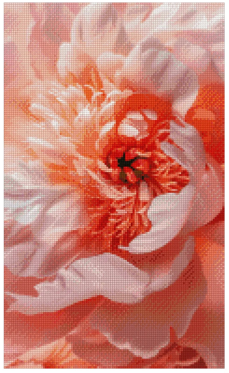 Timanttimaalaus mallikuva – suuri vaaleanpunainen kukka, terälehtien kerroksellinen tekstuuri ja hentoa, hehkuvaa valoa keskiosassa.