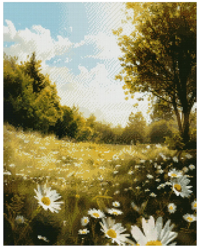 Diamond painting pattern image – a bright and warm landscape with a large meadow full of daisies, trees on the right bathed in strong sunlight, and a blue sky with white clouds in the background.