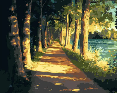 A beautiful forest path lined with tall trees and the golden autumn sunlight filtering through the foliage