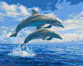 Thumbnail for Jumping dolphins in the sea