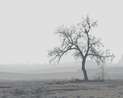 The tree stands in the mist