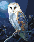 Thumbnail for Owl on a branch Paint By Numbers.