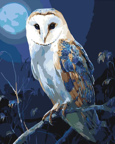 Owl on a branch Paint By Numbers.