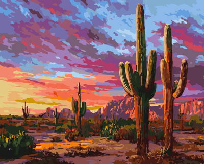 Cacti at sunset