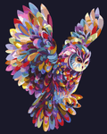Thumbnail for Paint a colorful owl flying with a paint-by-numbers set