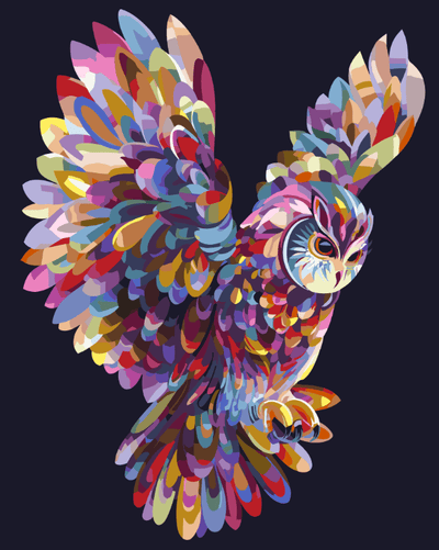 Paint a colorful owl flying with a paint-by-numbers set