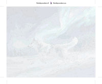 Thumbnail for Wolf in the Northern Lights Paint By Numbers fabric