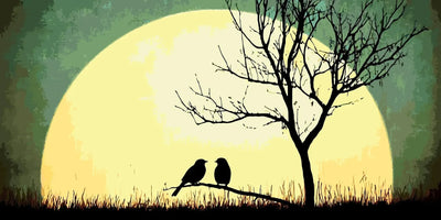 Sunset and silhouette. Two birds on a branch.