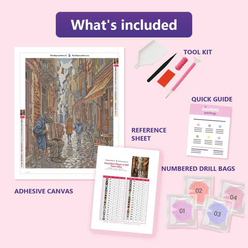 What is included in the Accordion Player in Old Town Alley diamond painting kit - adhesive canvas, reference sheet, tools and numbered drill bags