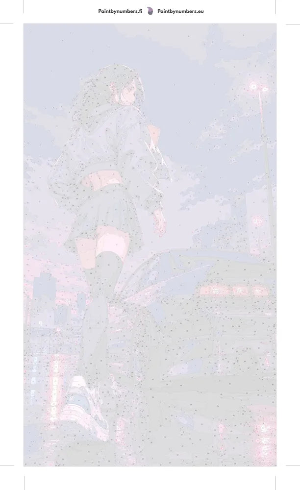 Paint by numbers numbered canvas - Anime Girl with Sports Car 40x70cm