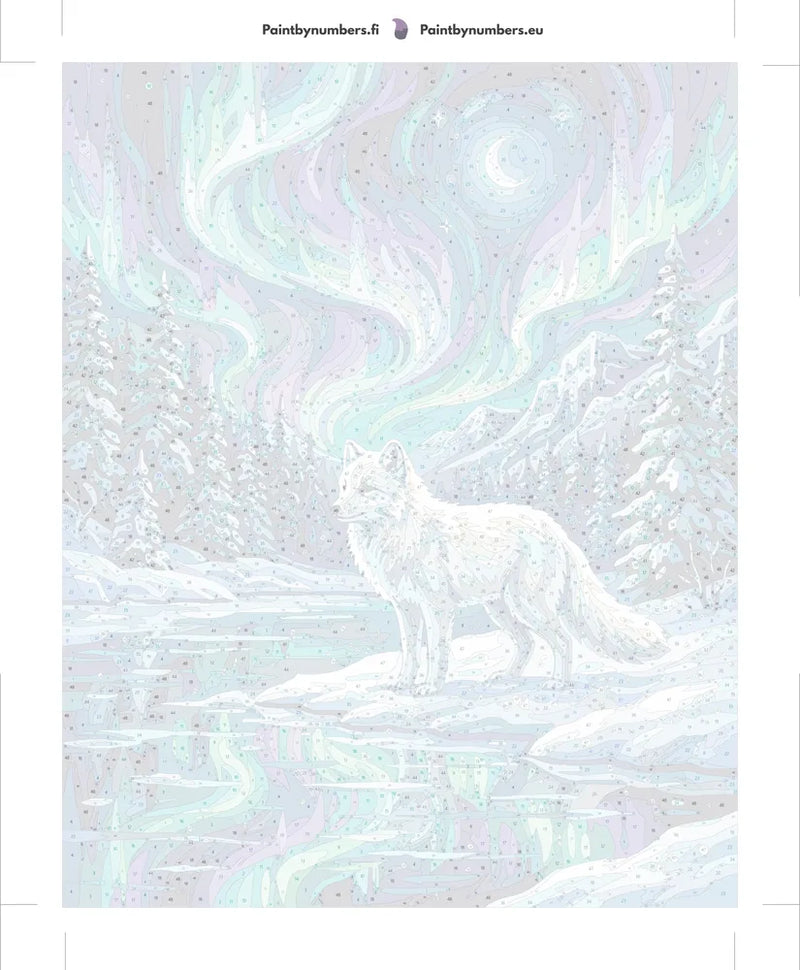 Paint by numbers numbered canvas - Arctic Fox and Northern Lights 40x50cm