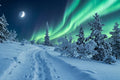 Thumbnail for Diamond painting of a snowy forest, the northern lights, and moonlight.