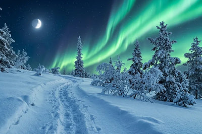 Diamond painting of a snowy forest, the northern lights, and moonlight.