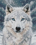 Thumbnail for Arctic wolf diamond painting preview – finished diamond work