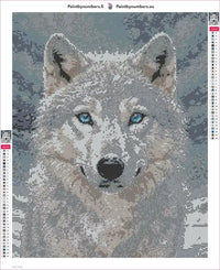 Thumbnail for Arctic Wolf diamond painting adhesive canvas 40x50cm