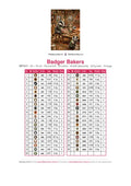 Thumbnail for DMC color chart for Badger Bakers diamond painting - 39 colors
