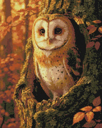 Thumbnail for Diamond pattern - Barn Owl in Autumn