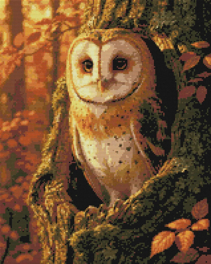 Diamond pattern - Barn Owl in Autumn