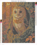 Thumbnail for Barn Owl in Autumn diamond painting adhesive canvas 40x50cm
