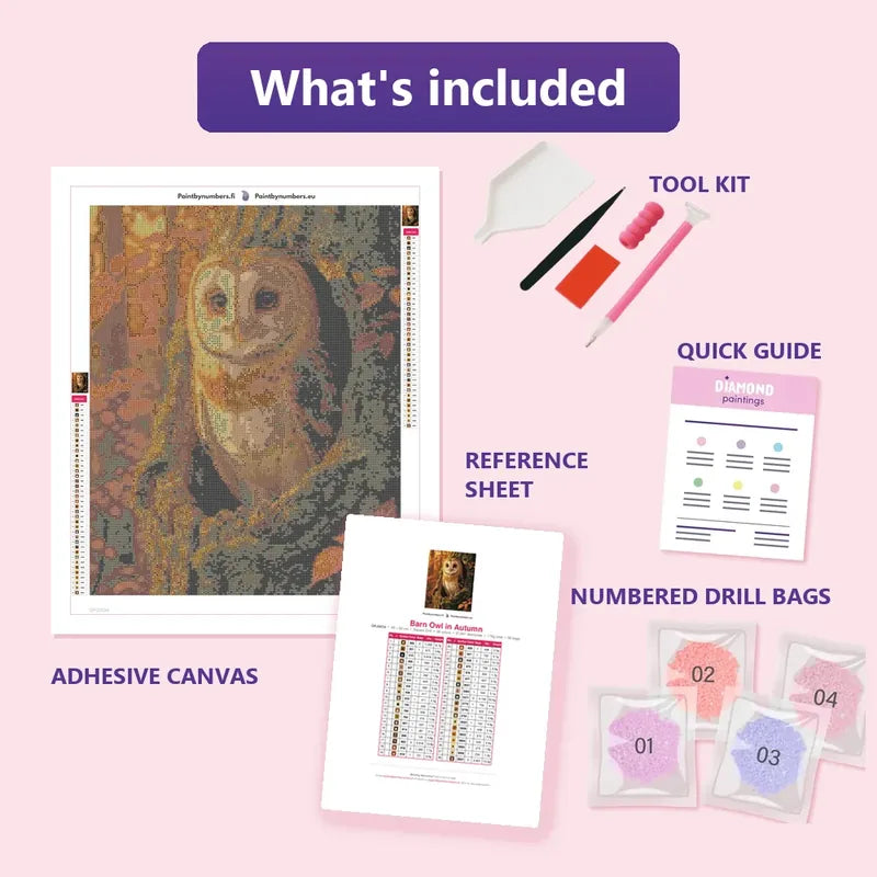 Barn Owl in Autumn 40x50cm diamond painting kit contents: adhesive canvas, color chart, tools and diamond bags