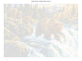 Thumbnail for Paint by numbers numbered canvas - Bear Cubs at the Rapids 70x50cm