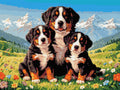 Miniatyrbild: Diamantmönster för Bernese Mountain Dogs