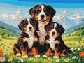 Thumbnail for Diamond pattern - Bernese Mountain Dogs
