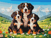 Thumbnail for Diamond pattern - Bernese Mountain Dogs