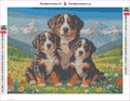 Thumbnail for Bernese Mountain Dogs diamond painting adhesive canvas 40x30cm