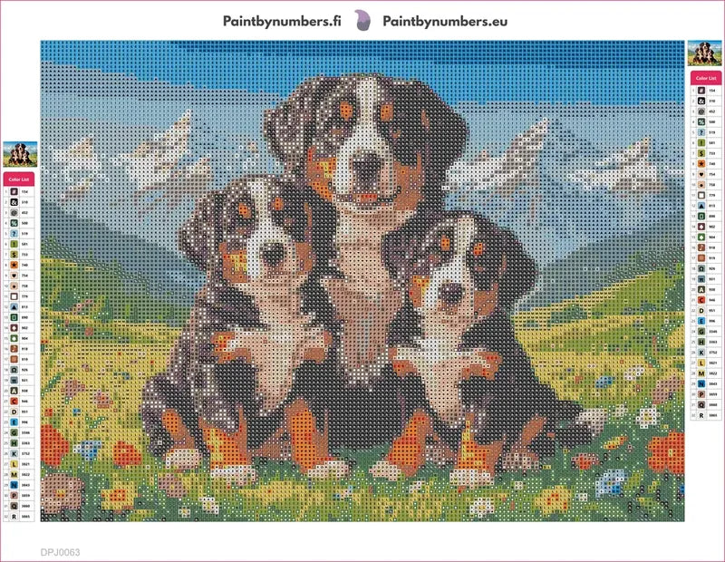 Bernese Mountain Dogs diamond painting adhesive canvas 40x30cm