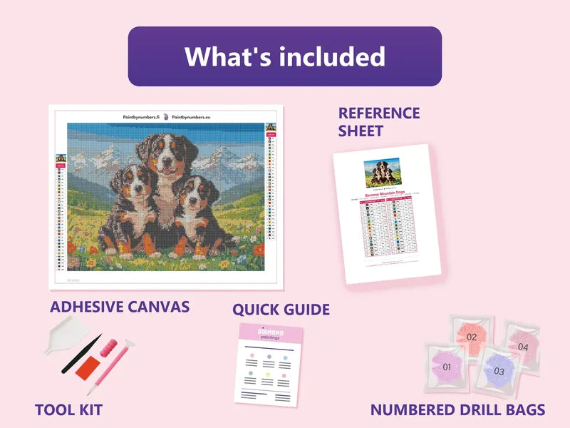Bernese Mountain Dogs 40x30cm diamond painting kit contents: adhesive canvas, color chart, tools and diamond bags