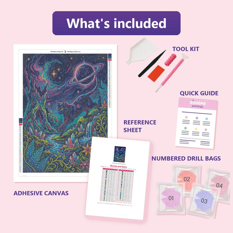 What is included in the Berries and Stars diamond painting kit - adhesive canvas, reference sheet, tools and numbered drill bags