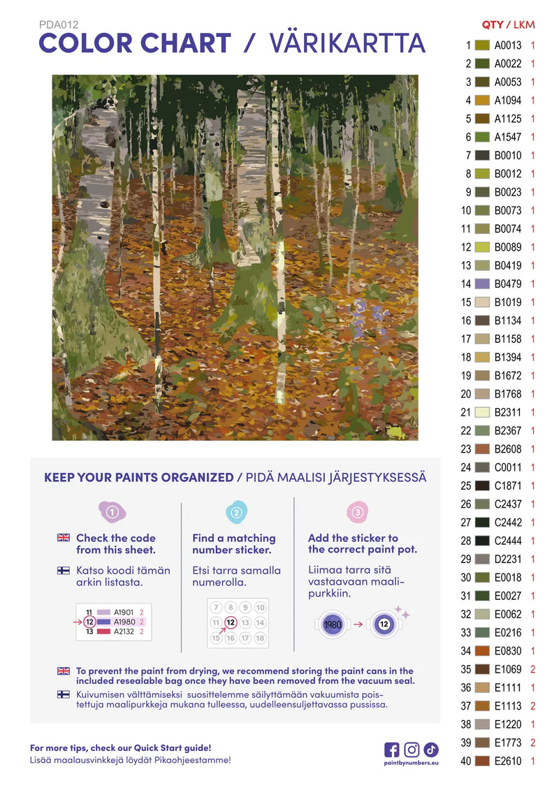 Color chart and instructions - Birch Forest 50x50cm