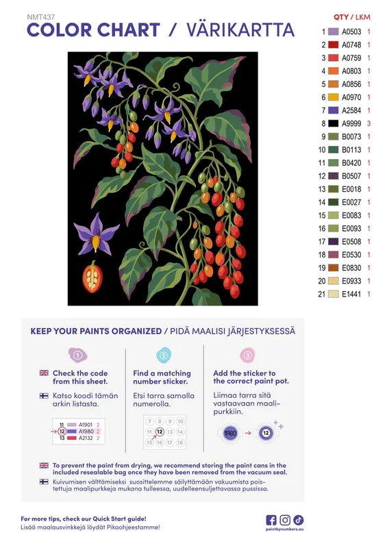 Paint color chart and instructions - Bittersweet in the August Hedge 30x40cm