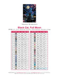 Thumbnail for DMC color chart for Black Cat, Full Moon diamond painting - 40 colors