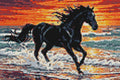Thumbnail for Diamond pattern - Black Horse at Sunset