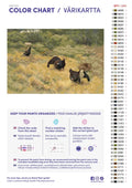 Thumbnail for Paint color chart and instructions - Blackgame in Springtime 60x40cm