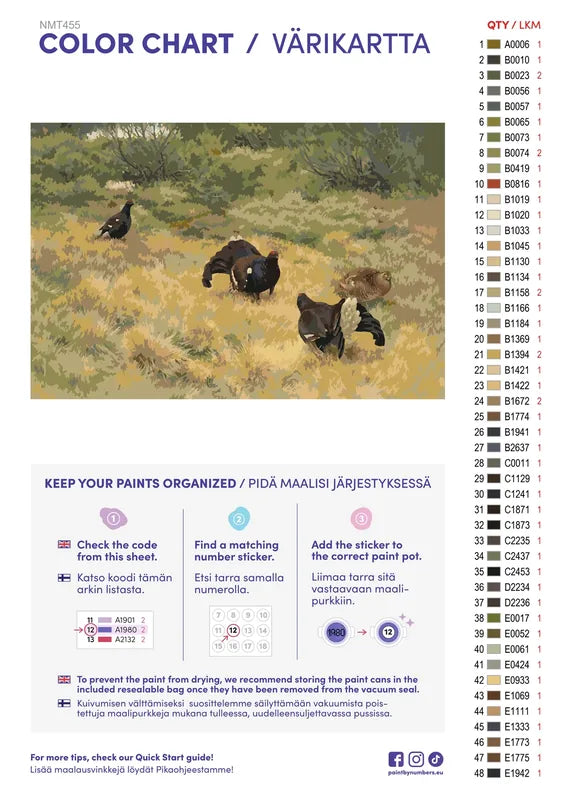 Paint color chart and instructions - Blackgame in Springtime 60x40cm