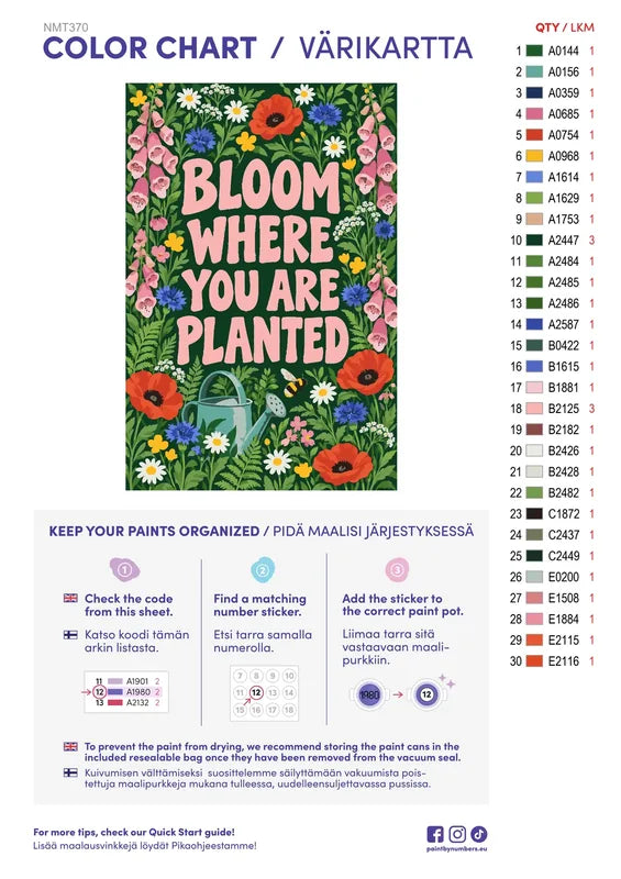 Paint color chart and instructions - Bloom Where You Are Planted 40x60cm
