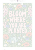Thumbnail for Paint by numbers numbered canvas - Bloom Where You Are Planted 40x60cm