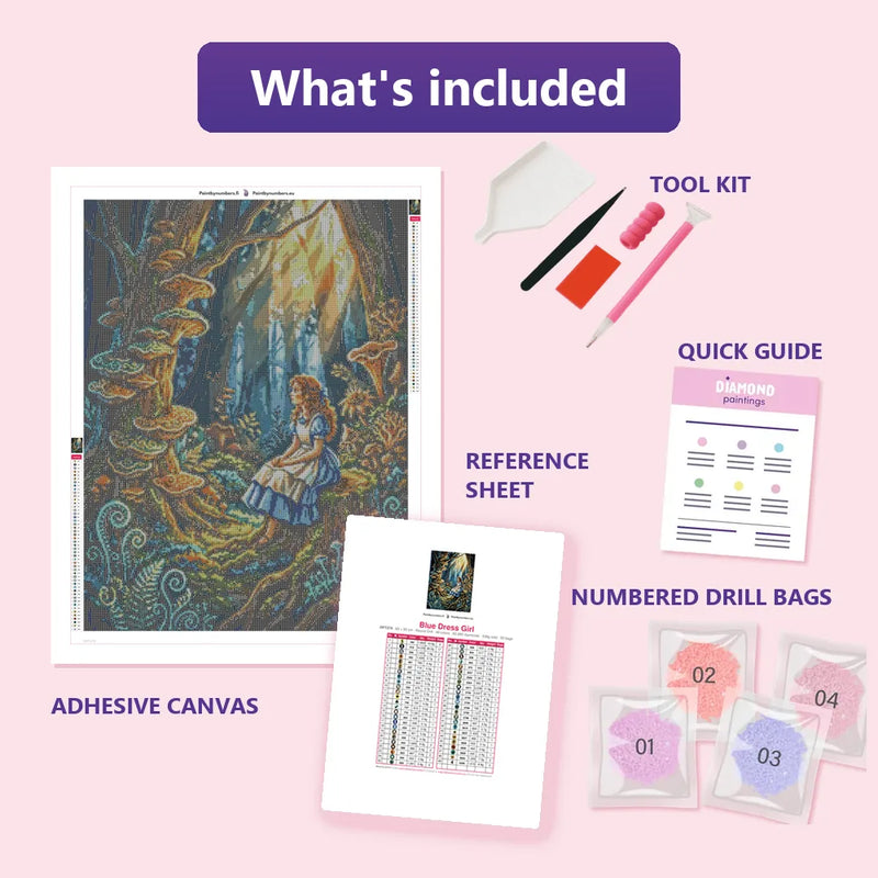 What is included in the Blue Dress Girl diamond painting kit - adhesive canvas, reference sheet, tools and numbered drill bags