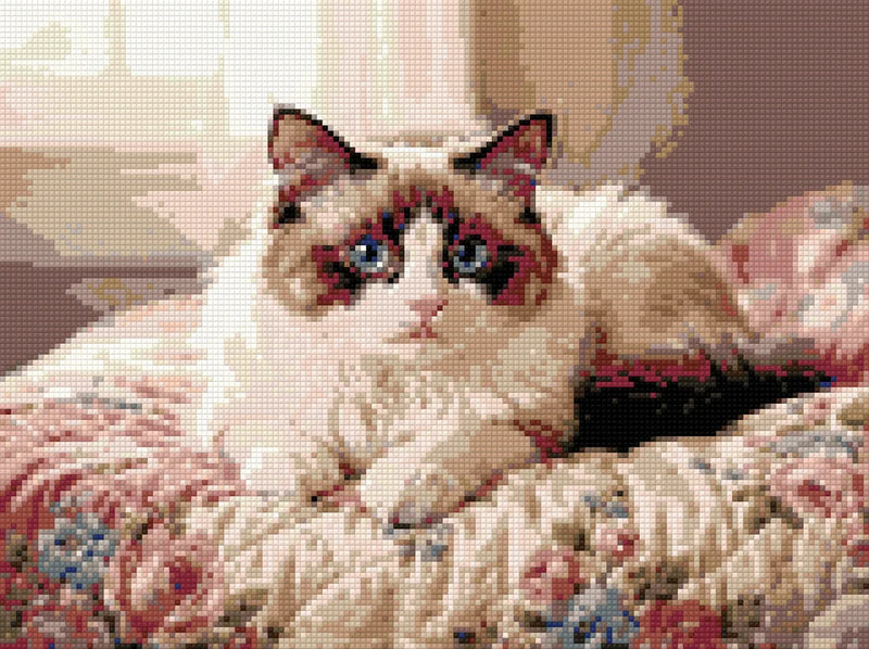 Diamond pattern - Blue-Eyed Cat