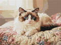 Thumbnail for Diamond pattern - Blue-Eyed Cat